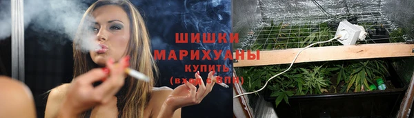 стафф Михайловск