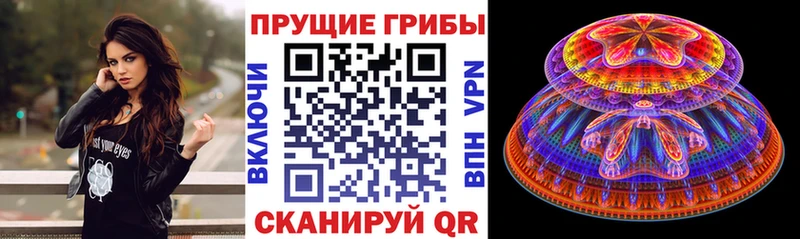 ссылка на мегу маркетплейс  маркетплейс как зайти  Озёры  Псилоцибиновые грибы Psilocybe  купить  цена 